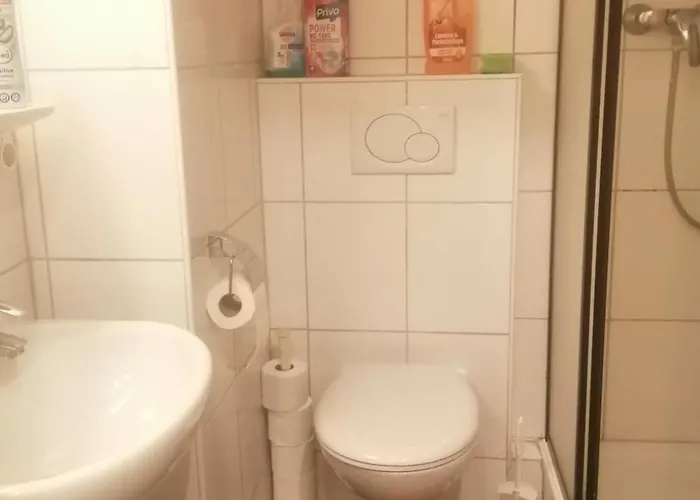 Little Sparkle Hanau